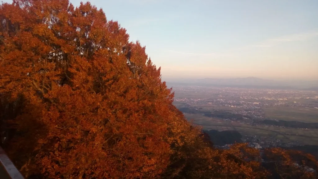 弥彦山山頂の紅葉

