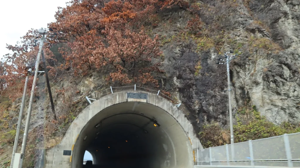 笹川流れ-新潟