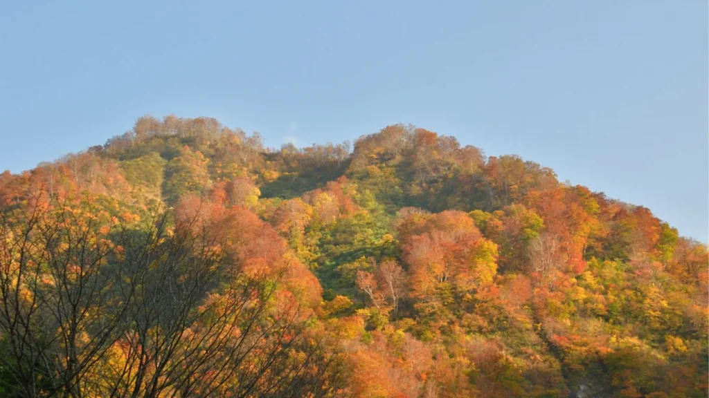 紅葉の清津峡